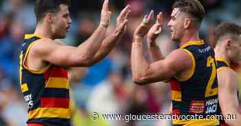 Mixed feelings for Crows boss from AFL win - Gloucester Advocate