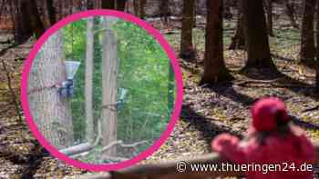 Jena: Frau geht am Bismarckturm spazieren und entdeckt DAS - Thüringen24