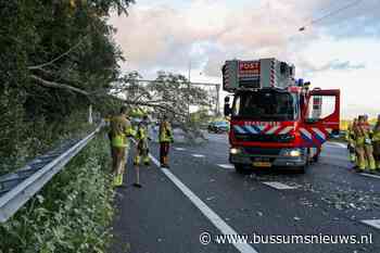 Twee rijstroken op A1 dicht door omgevallen boom - BussumsNieuws