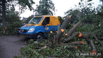 Dit is waarom je bij onweer nooit onder een boom moet schuilen - RN7