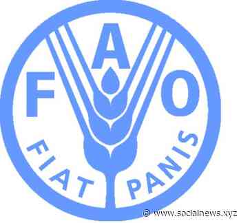 As climate changes, so should reporting on development work - Social News XYZ