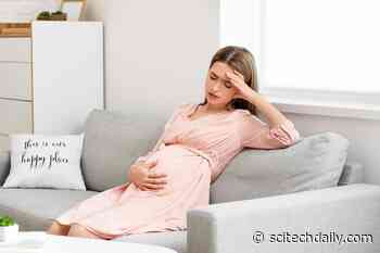 High Stress Might Be the Reason You Can’t Get Pregnant