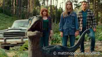 Cinema al 100 per cento, le recensioni del film usciti in sala venerdì 3 giugno - Il Mattino di Padova