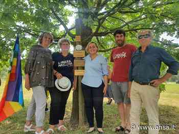 ASeS-Cia al 'Bosco dei Cento Passi' per dire no alla mafia - Terra & Gusto - Agenzia ANSA