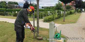 Raesfeld: Veränderte Bestattungskultur sorgt für Loch im Haushalt - Ruhr Nachrichten