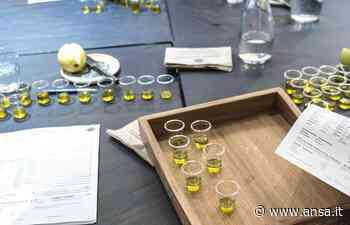 Olio: Consorzio Opera Olei segna la ripartenza post pandemia - Terra & Gusto - Agenzia ANSA