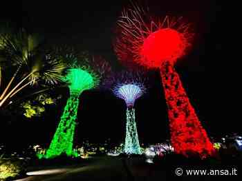 A Singapore un 2 giugno dedicato all'opera italiana - News dalle Ambasciate - Agenzia ANSA