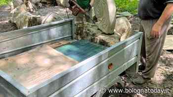 All'OASI di Tolè in arrivo una nuova opera - BolognaToday