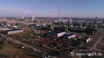 Reportage | "Mit PCK steht oder fällt Schwedt" - rbb24.de