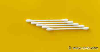 Ticks Suck, but There's an Easy Way to Remove Them Without Tweezers     - CNET