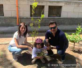 Messina. Beatrice pianta un albero alla Galatti per ricordare la lotta al cancro infantile - Tempo Stretto