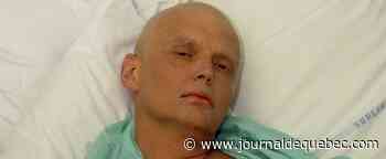 Mort d'un suspect clé dans l'assassinat de l'ex-espion russe Alexandre Litvinenko