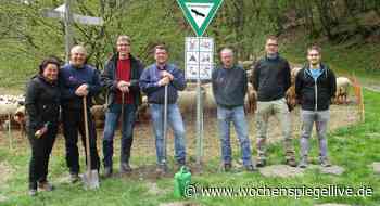 Naturschutz im Kaulenbachtal - Cochem / Zell - WochenSpiegel