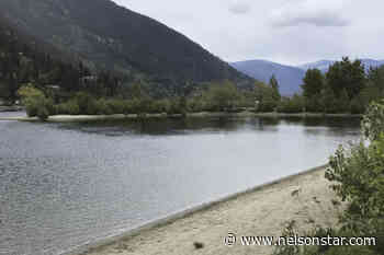 ABOUT NELSON: The mishap that led to Nelson’s lakeside dog park - Nelson Star