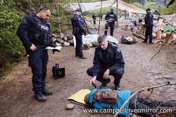 RCMP make arrests at logging protest north of Nelson - Campbell River Mirror