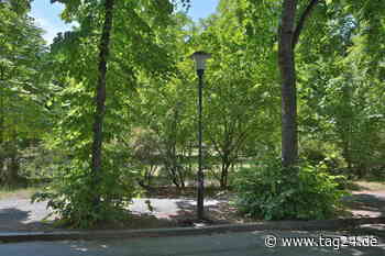 Dresden: Typ pinkelt an Laterne und wird skrupellos angezündet - TAG24