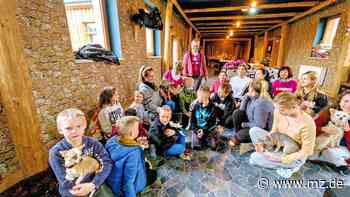 Kreis Wittenberg geht in Vorleistung für Kriegsflüchtlinge - Mitteldeutsche Zeitung