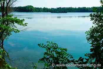 Auf zwei Seen um Breisach könnten schwimmende Photovoltaikanlagen entstehen - Breisach - Badische Zeitung