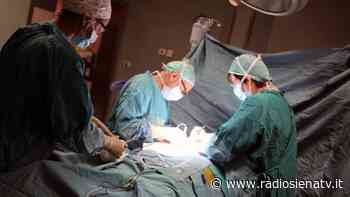 Siena: donazione e trapianto di organi, al via il 1° Festival della Vita - RadioSienaTv