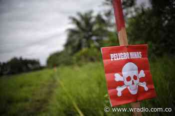 Más de 40 colombianos han sido víctimas de minas antipersonal en el año: Indepaz - W Radio