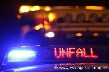 Unfall in Deizisau - 21-Jähriger bremst zu spät und verursacht mehrere tausend Euro Schaden - esslinger-zeitung.de