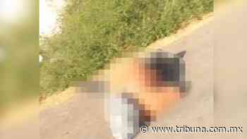 Terror en Manzanillo: Sujetos desconocidos abandonan cadáver maniatado en vía publica - TRIBUNA