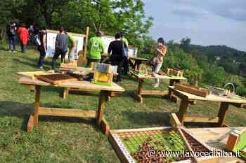 Progetto ORTOgrafia: in Brasile si parlerà di Alba grazie agli... ortaggi - LaVoceDiAlba.it