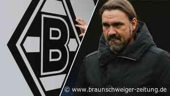 Hütter-Nachfolger gefunden: Farke neuer Gladbach-Trainer