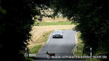 Wildunfall bei Nagold - Motorradfahrer bei Zusammenstoß mit Reh schwer verletzt - Schwarzwälder Bote