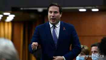 When it comes to stopping gun violence, it's all about the border, critics say