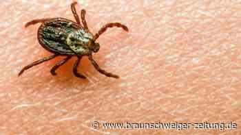Zecke in Deutschland: Diese Arten verbreiten sich