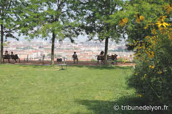 Nos bons plans pique-nique dans le centre de Lyon - Tribune de Lyon