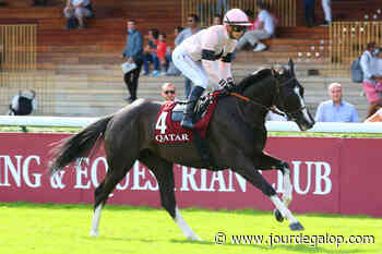Aujourd'hui aux courses - Lyon-Parilly : Le grand retour d'Iresine - Jour de Galop