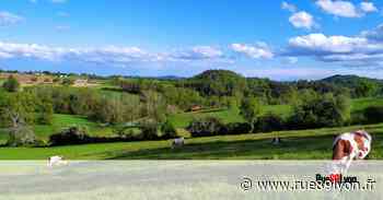 Législatives à l’ouest de Lyon : la guerre des droites aura-t-elle raison de LR ? - Rue89Lyon