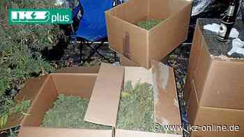 Iserlohn/Hemer: Teilgeständnis im Drogen-Prozess - IKZ News