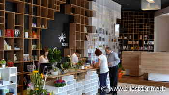 Lo sloveno con empatia: appuntamento da non perdere l'8 giugno - TriestePrima