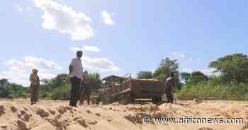Kenya: Sand harvestings' dire impact on rivers and aquatic life - Africanews English