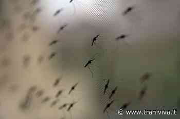 Amiu, il 9 giugno nuova disinfestazione aerea - TraniViva