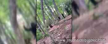 Une intervention policière près d'une école secondaire de Laval fait réagir sur les réseaux sociaux