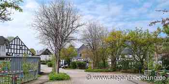 Arbeiter in der Zentrums-Partei: Ein Grissenbacher gegen Alfred Krupp - Siegener Zeitung