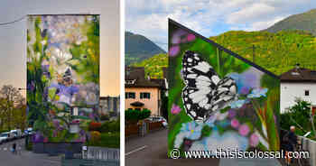 Massive Butterflies Alight on Architecture in Larger-Than-Life Trompe L'oeil Murals by Mantra - Colossal