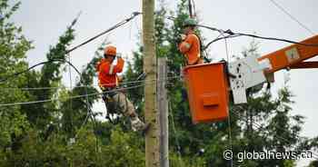 Remote parts of Bancroft, Tweed to remain without power for days or weeks after storm - Global News