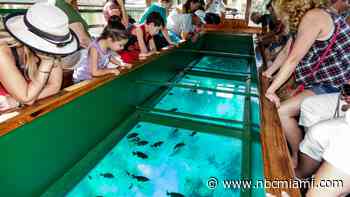 6 Florida State Parks To Visit This Summer