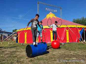 Good-News-Blog: 95 Schülerinnen und Schüler aus Brackenheim wachsen in ihrer Zirkusprojektwoche über sich hinaus - Heilbronner Stimme