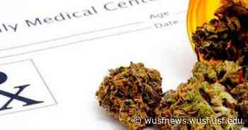 Medical cannabis study led by FGCU will explore best CBD/THC ratio for anxiety treatment - WUSF News