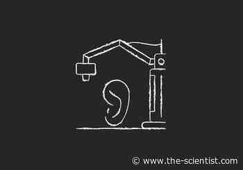 Patient Implanted with Live, 3D-Printed Tissue in Medical First - The Scientist