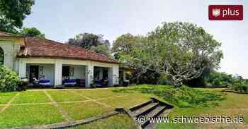 Architektur und Natur in Harmonie vereint - Schwäbische