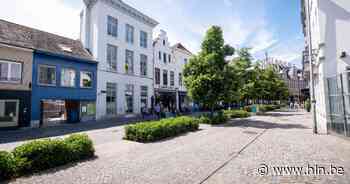 Stad vindt eindelijk koper voor 'poorten' Rik Wouterstuin - Het Laatste Nieuws