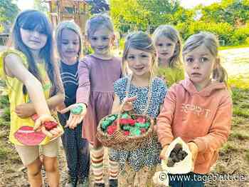 So setzen sich Kitas für die Zukunft der Erde ein - Landkreis Stade - Tageblatt-online
