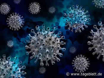 Landkreis Stade registriert 268 Corona-Neuinfektionen - Landkreis Stade - Tageblatt-online
